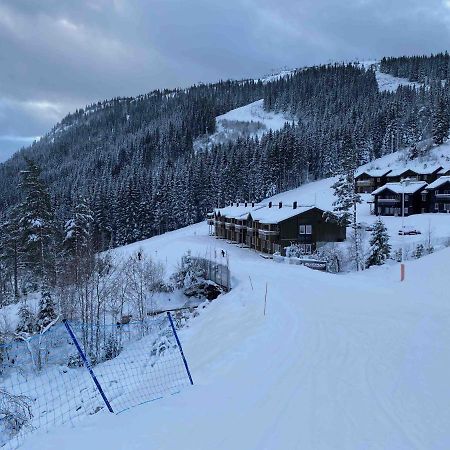 New Modern Apartment With Great View - Ski In & Out Skulestadmo Exterior foto